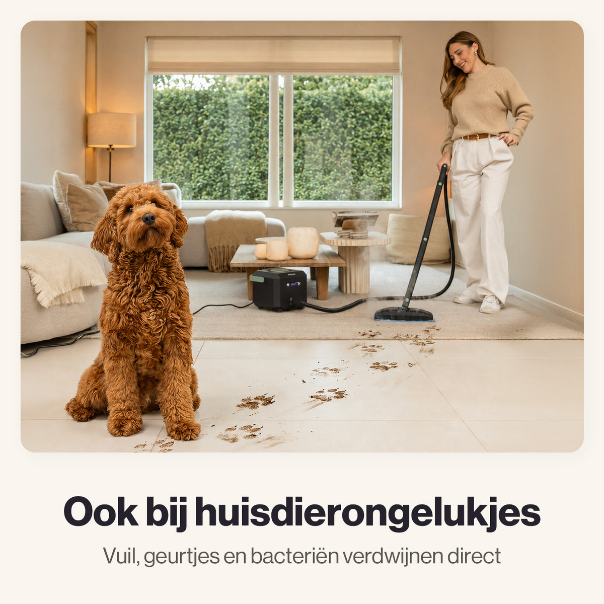 #kleur_zwart