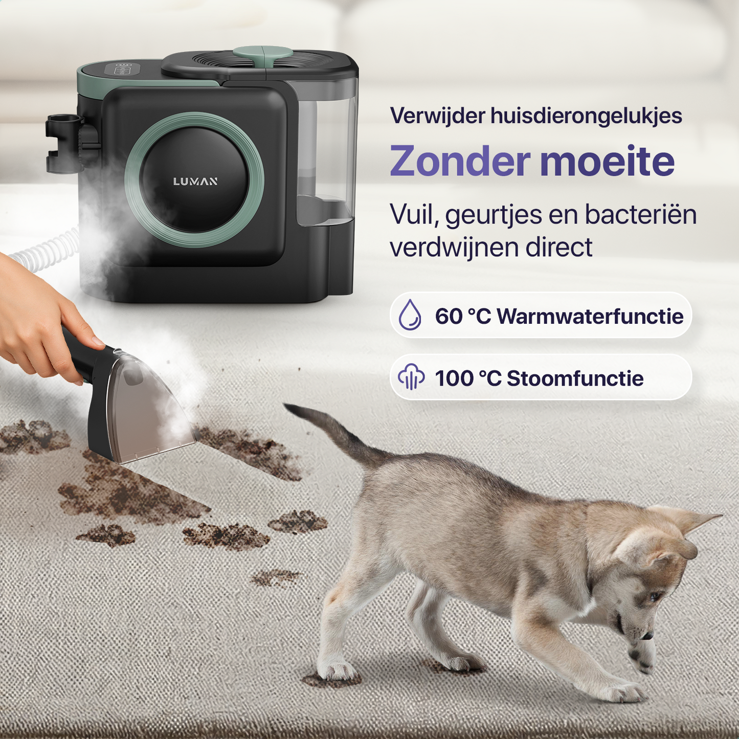 Vlekkenreiniger A3 Pro - Stoomreiniging